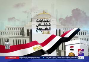 سفارات مصر بالخارج تستعد لاستقبال الناخبين بجولة الإعادة بانتخابات مجلس الشيوخ