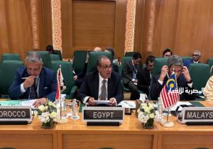 وزير الخارجية: إسرائيل تتحمل مسئولية استمرار الحرب فى غزة