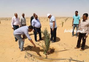 محافظ الوادى الجديد يشجع على الأستثمار الزراعي ويتفقد مرزعه للنخيل بالخارجه