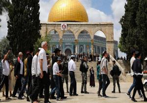 مستوطنون يقتحمون المسجد الأقصى.. واستشهاد فلسطيني وإصابة آخرين بنيران الاحتلال في غزة