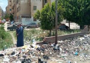 النائب أحمد السجينى: رسوم القمامة شرائح من 4 إلى 30 جنيها حسب استخدام الكهرباء