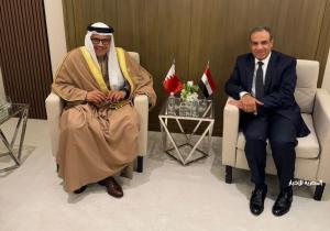 وزير الخارجية يبحث مع نظيره البحريني القضية الفلسطينية ومستجدات الأوضاع في سوريا واليمن