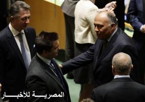 وزارة الخارجية : فرنسا تشيد بتولي مصر رئاسة 3 لجان في مجال مكافحة الإرهاب بمجلس الأمن