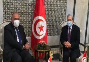شكرى يصل تونس لتسليم رسالة السيسى للرئيس قيس سعيد حول سد النهضة