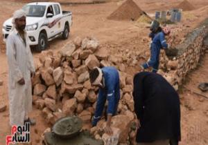 "عايزينها تبقى خضرا".. استصلاح 650 فدانًا بالوديان الصحراوية فى مطروح