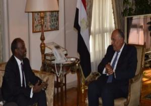 وزير الخارجية يؤكد دعم مصر لمنظمة التعاون الإسلامى وكافة أجهزتها الفرعية