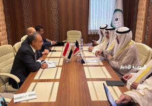 وزير الخارجية يجدد تأكيد رفض مصر القاطع لأي محاولات لإعادة احتلال قطاع غزة