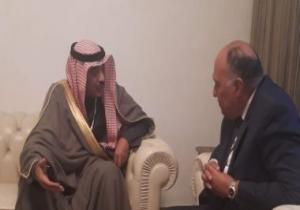 سامح شكرى يبحث مع نائب رئيس الوزراء الكويتى تعزيز آليات التعاون العربى المشترك