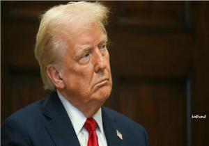 ترامب: نشكر مصر والإمارات والسعودية وقطر والدول التي دعمت القرار الأمريكي بمجلس الأمن
