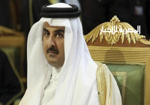 مفاجأة كبرى بعد تحركات مصر ضد قطر في التحالف الدولي