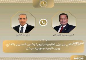 وزير الخارجية يؤكد حرص مصر على تعزيز التعاون والشراكة مع سيشل