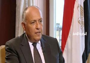 مصر تشارك في أول اجتماع وزاري لدول جوار السودان بتشاد