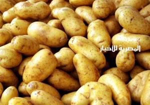 بالفيديو .. الحاصلات البستانية : ارتفاع أسعار البطاطس الفترة القادمة