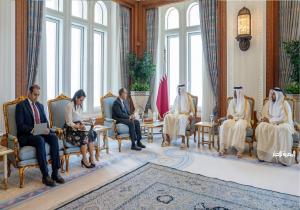 وزير الخارجية ينقل رسالة تضامن ودعم من الرئيس السيسي إلى أمير دولة قطر