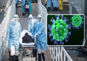 الصحة: ارتفاع عدد المتعافين من فيروس كورونا لـ1381 حالة
