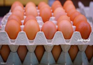 "الزراعة" تطرح كميات من بيض المائدة بأسعار مخفضة عبر منافذها بالمحافظات