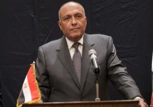 الخارجية المصرية تطالب إيطاليا بكافة تفاصيل العثور على آثار مصرية فى حاوية دبلوماسية