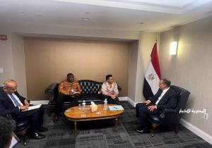 وزير الخارجية يلتقي المديرة التنفيذية للآلية الإفريقية لمراجعة النظراء