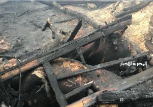 خسائر ضخمة.. حريق مزرعة بمركز نبروه ونفوق 28 رأس ماشية وخيول