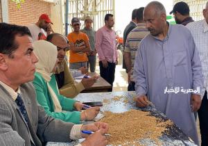 استعدادات مكثفة لاستقبال محصول القمح في الشون والصوامع بالدقهلية