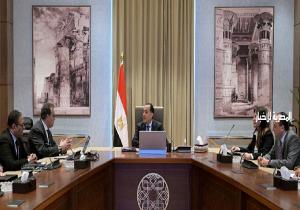 رئيس الوزراء يتابع مع نائب رئيس مجلس الوزراء للتنمية البشرية وزير الصحة والسكان عددا من ملفات العمل