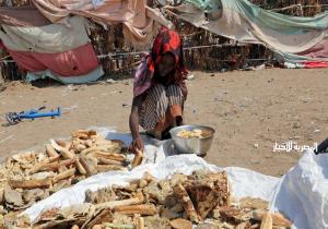 اليمن.. أرقام مفزعة عن المجاعة والأوبئة