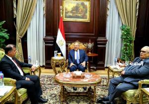 رئيس مجلس الشيوخ يلتقي سفير طاجيكستان بالقاهرة