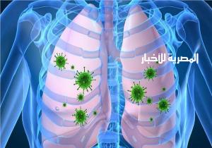 أستاذ مناعة: «متخافوش فيروس هانتا مش هيجي مصر»