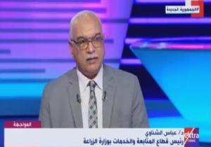 الزراعة: المشروع القومى لإنتاج البذور يقلل من فاتورة الاستيراد ويزيد الإنتاجية