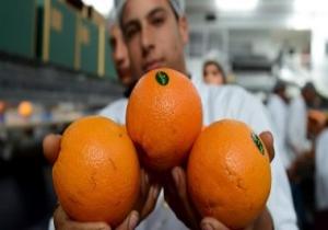 "الزراعة" تعلن عن ارتفاع صادرات مصر من الموالح لـ620 ألف طن