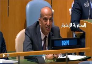 رسميا.. الأمم المتحدة تعتمد إنشاء مكتب للشباب بين «مصر وجيانا»