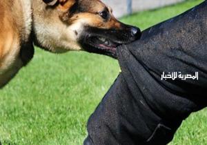 القبض على فرد الأمن المسؤول عن كلب الحراسة الذي عقر طالبة بجامعة القاهرة