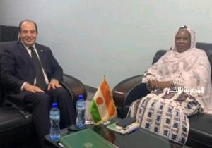 السفير المصري يلتقي مع وزيرة البيئة النيجيرية لتنسيق مشاركة النيجر في مؤتمر المناخ COP27 بشرم الشيخ