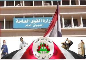 برواتب تبدأ من 2700 جنيه.. فرص عمل متاحة في 14 محافظة | التخصصات والشروط
