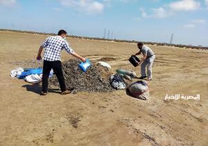 مجلس مدينة بلطيم بكفرالشيخ يلاحق أصحاب مناشر الأسماك الصغيرة المحرم صيدها